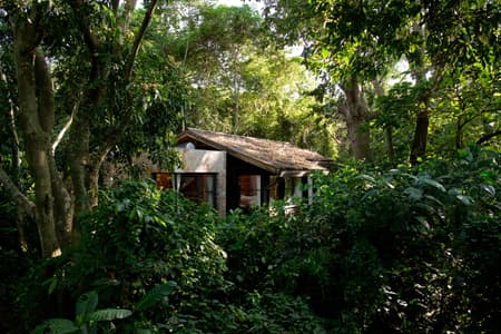 Entebbe Forest Lodge